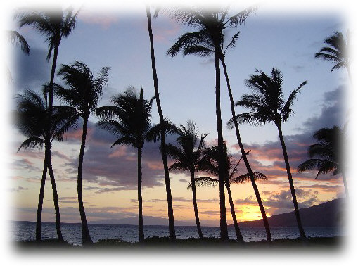 The picture shows a beach sunset